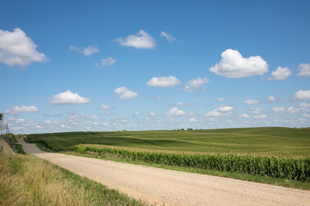 A rural scene in Iowa, of a gravel road, blue sky and white cumulus clouds.