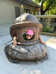 Young child playing inside a fake turtle.
