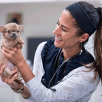 Vet holding dog